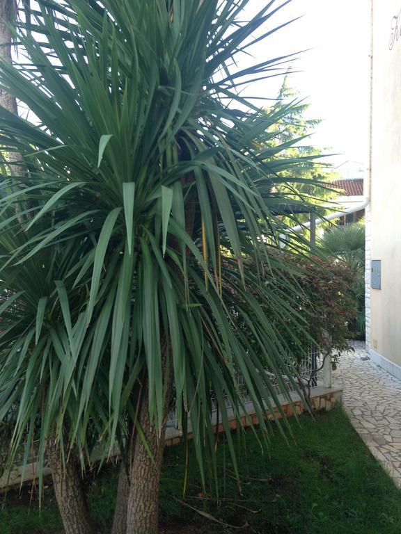PUY Apartments Villa Kristina מראה חיצוני תמונה