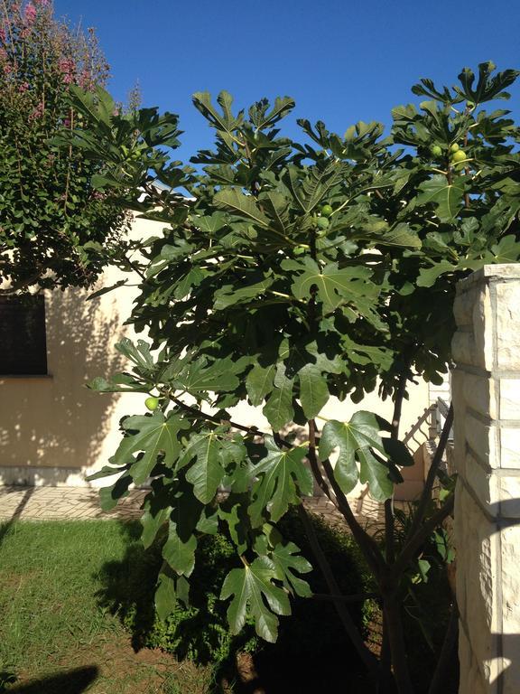 PUY Apartments Villa Kristina מראה חיצוני תמונה